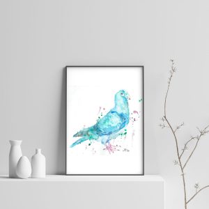 Pigeon