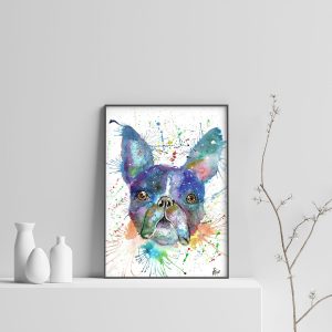 "Bruno" Boston Terrier/Dog