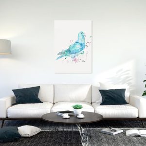 Pigeon