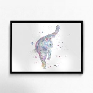 "Rainbow" Cat