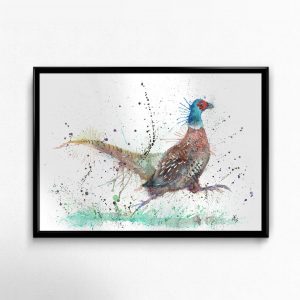 "Fez" Pheasant