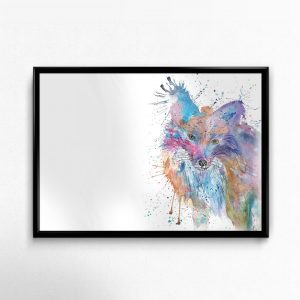 "Night" Fox