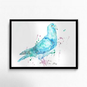 "Pigeon"