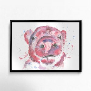 "Priscilla" Pig