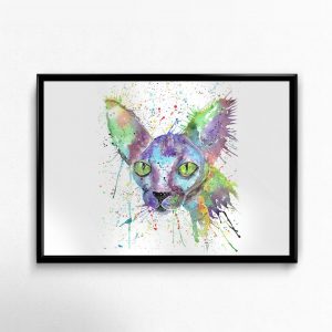 "Brian" Sphynx/Cat