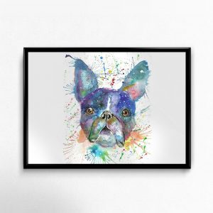 "Bruno" Boston Terrier/Dog