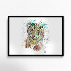 "Franklin" Tiger