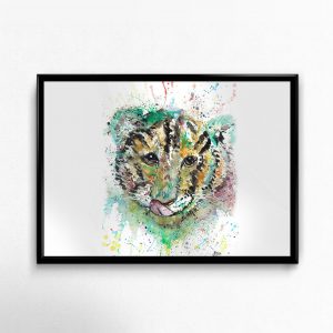 "Franklin - Close up" Tiger