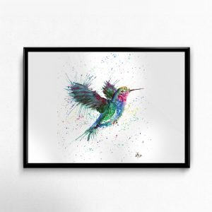"Sue" Hummingbird