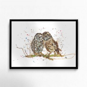 "My Favourite" Owls