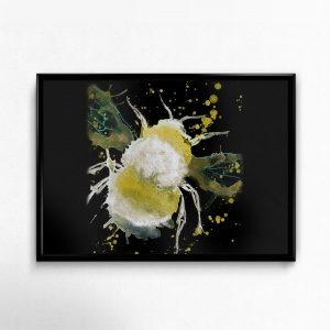 Fine Art Print Landscape JTE003