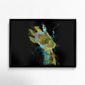 Fine Art Print Landscape JTE014