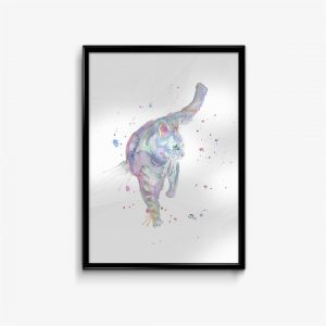"Rainbow" Cat
