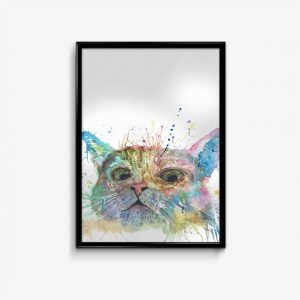 "Peep" Cat