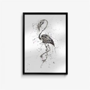 "Bones" Flamingo