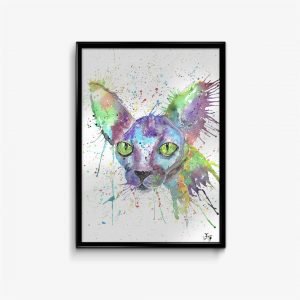 "Brian" Sphynx/Cat