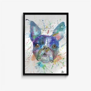 "Bruno" Boston Terrier/Dog