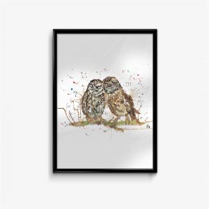 "My Favourite" Owls