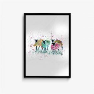"Baaaaa" Sheep